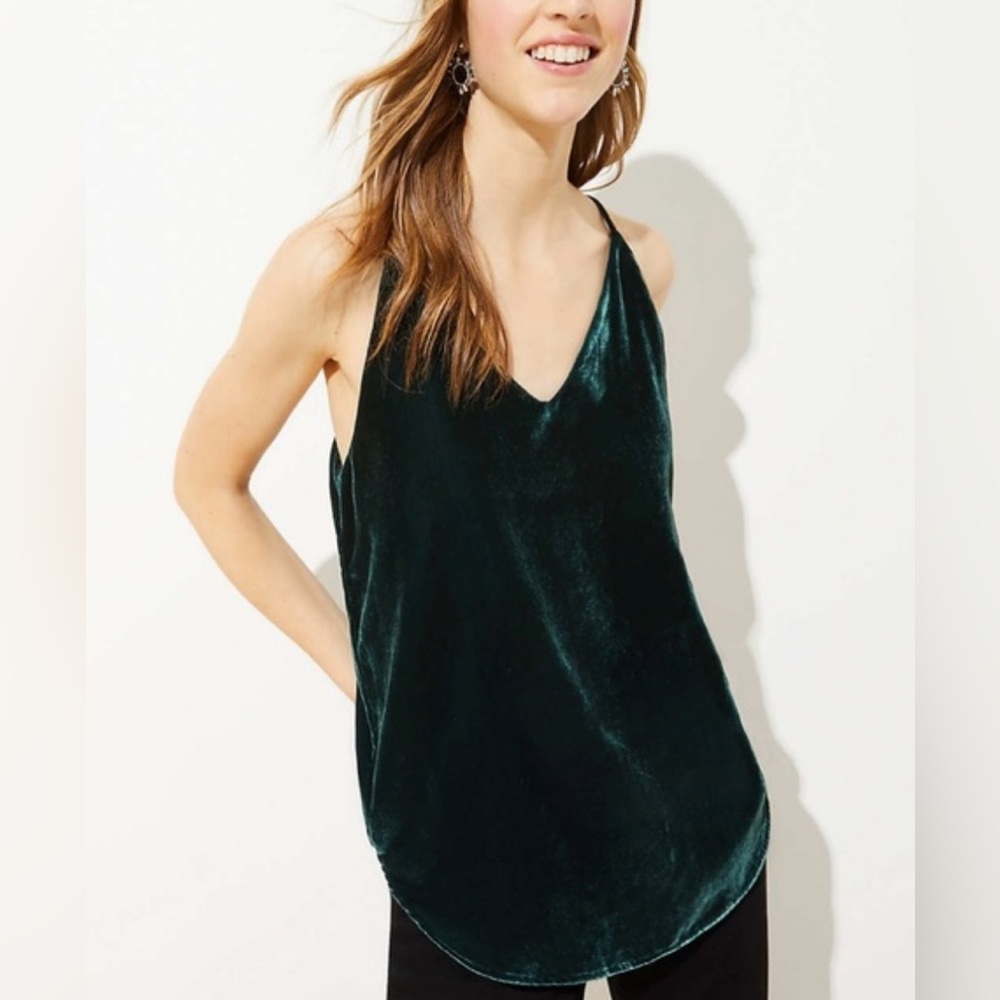 Loft Women's Green Velvet Top